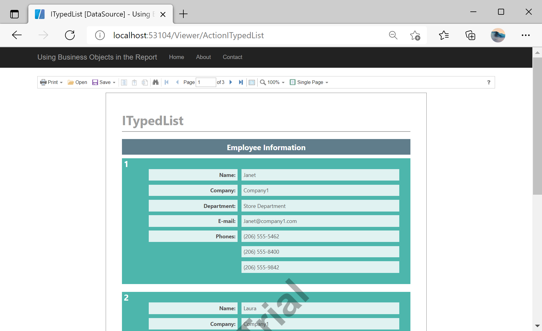 Using Business Objects in the Report